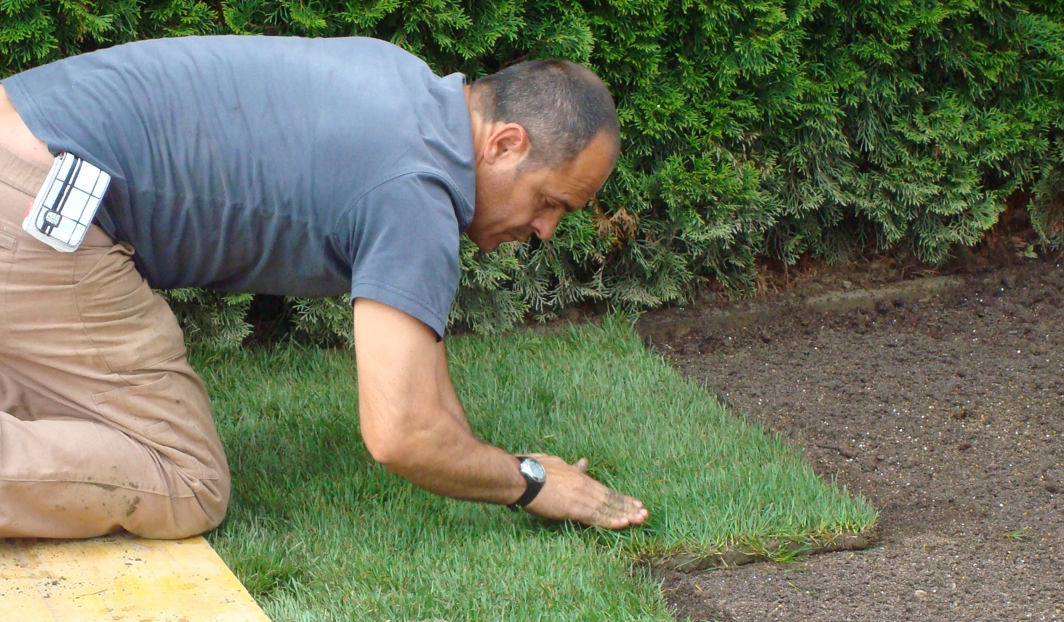 Posa prato in rotoli